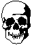 Skull - the symbol for poison